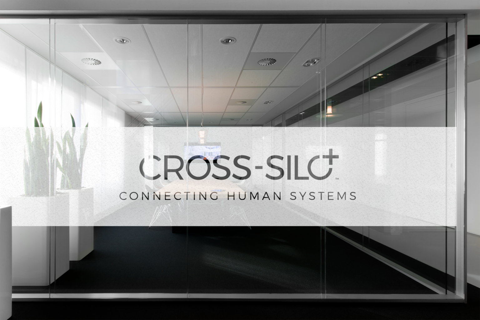 CROSS_SILO_Connecting_Human_Systems